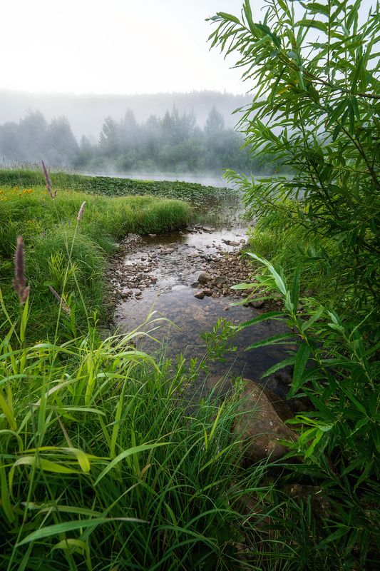 пермский край, пейзаж, рассвет, красота природы, поле, лето, река, природа, дикая природа, койва, лес, усть-койва Утро на Койве фото превью