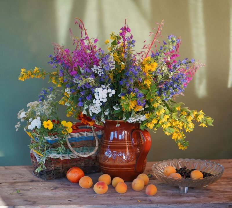 С абрикосами фото превью