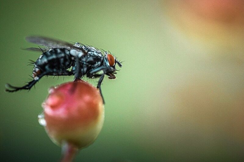 К взлету готоваphoto preview