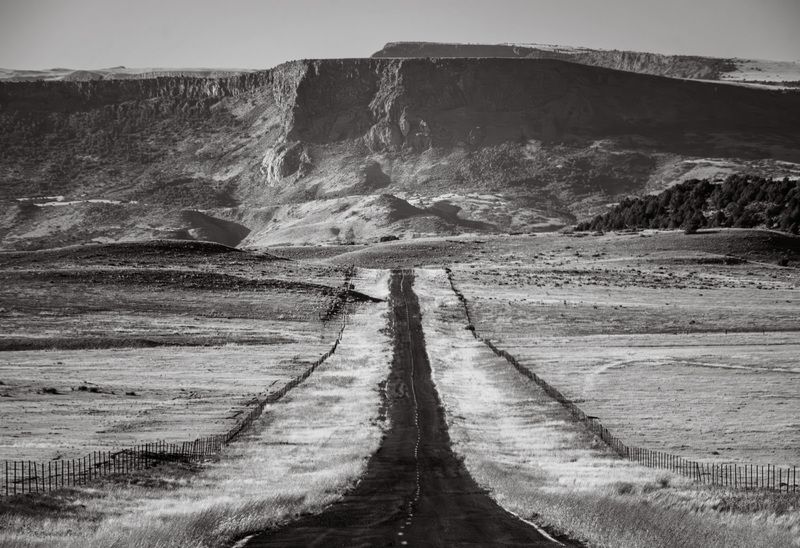 new mexico, usa, america, landscape, road, summer, nature, outdoors A drive into the great wide open (Поездка в большие просторы)photo preview