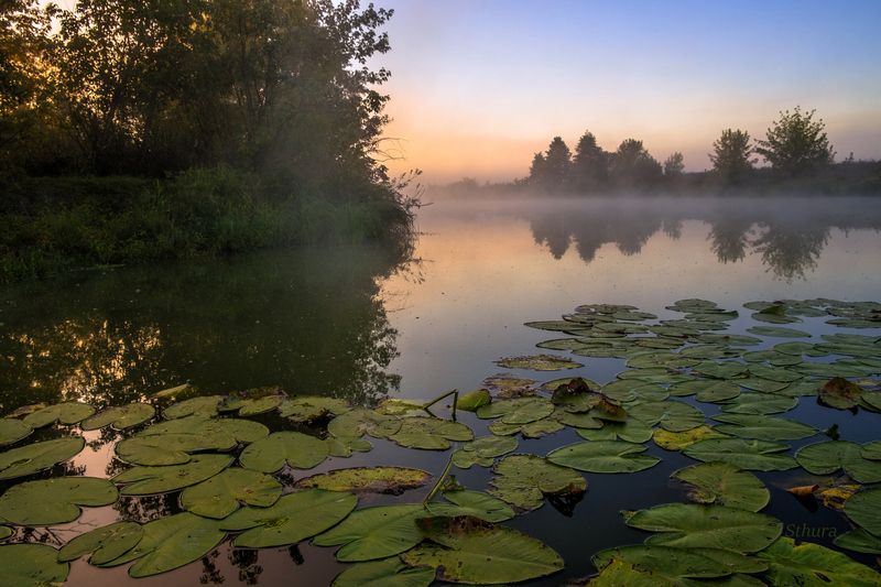 озеро утро осень природа пейзаж Сонное утро.photo preview