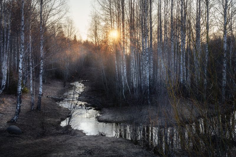 Весенняя пастельphoto preview