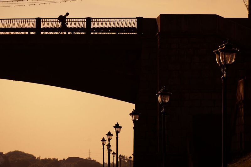 Бредущийphoto preview