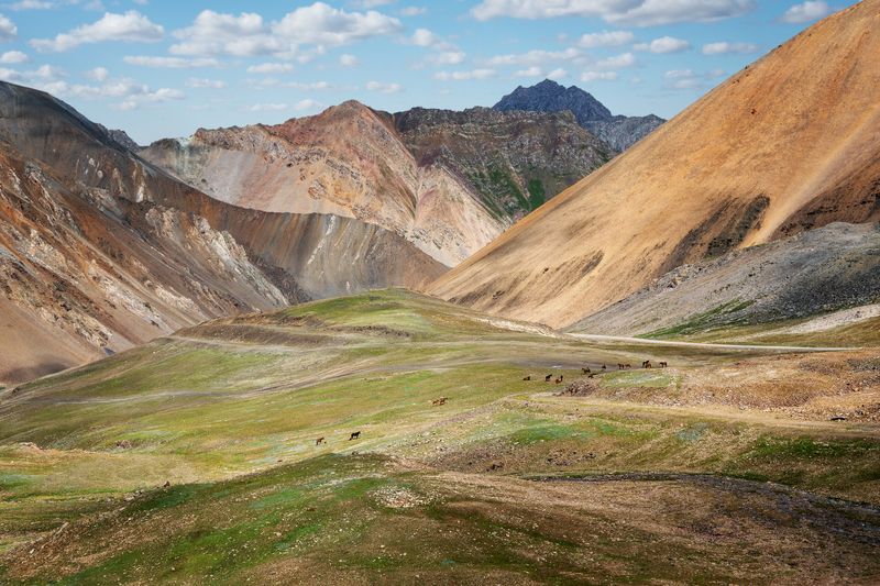 кыргызстан, горы тянь-шань, ущелье барскаун, дорога на золотодобывающий комбинат кумтор, пастбище, кони Цветной Тянь-Шаньphoto preview