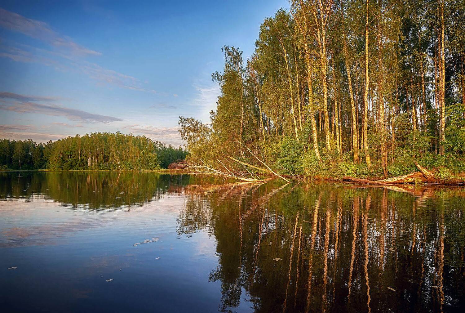, Сергей Аникин