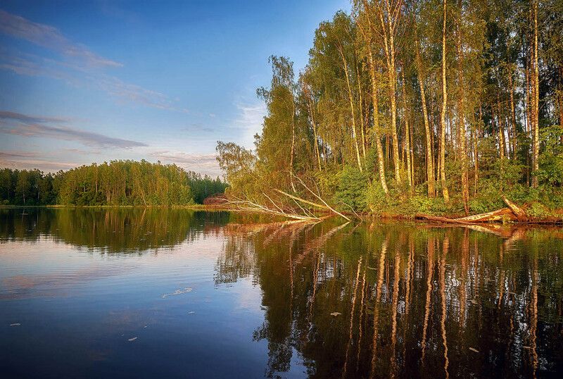 Вечерний светphoto preview