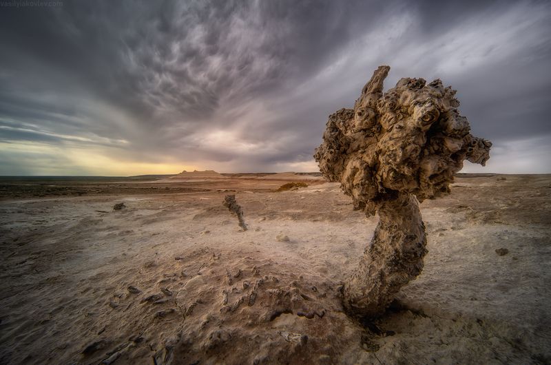 казахстан, фототур, яковлевфототур, мангистау, мангышлак, айракты, босжира, устюрт, карынжарык, тузбаир, торыш, туйесу, сенек Кызылкупphoto preview