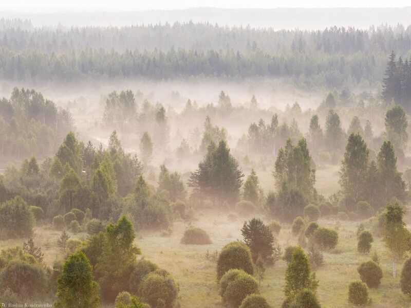 Рассвет, туман Туманный рассвет фото превью
