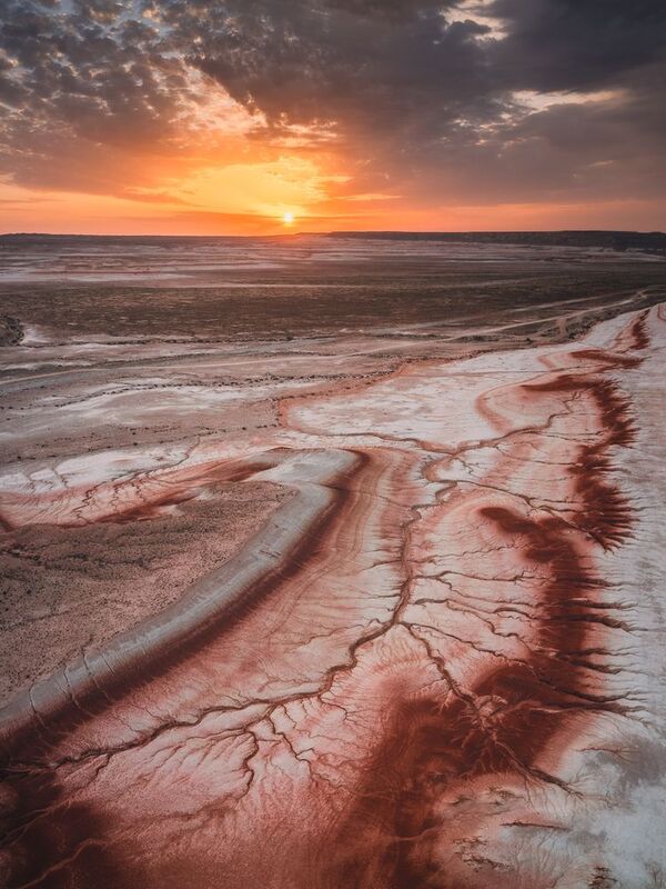 Line of lifephoto preview