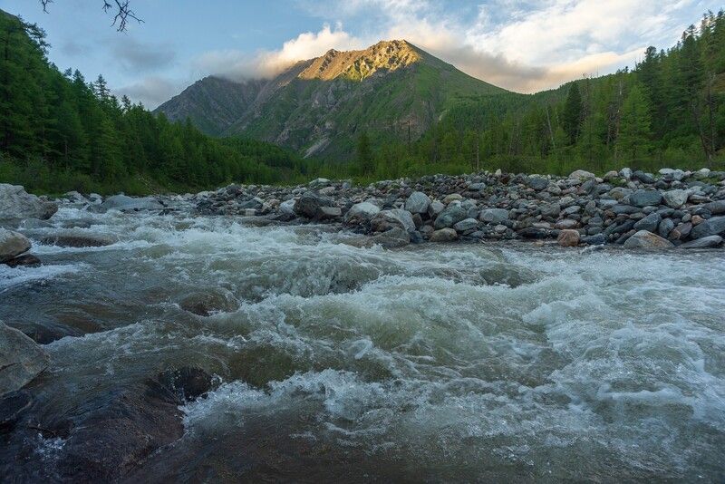 шумак ** *photo preview