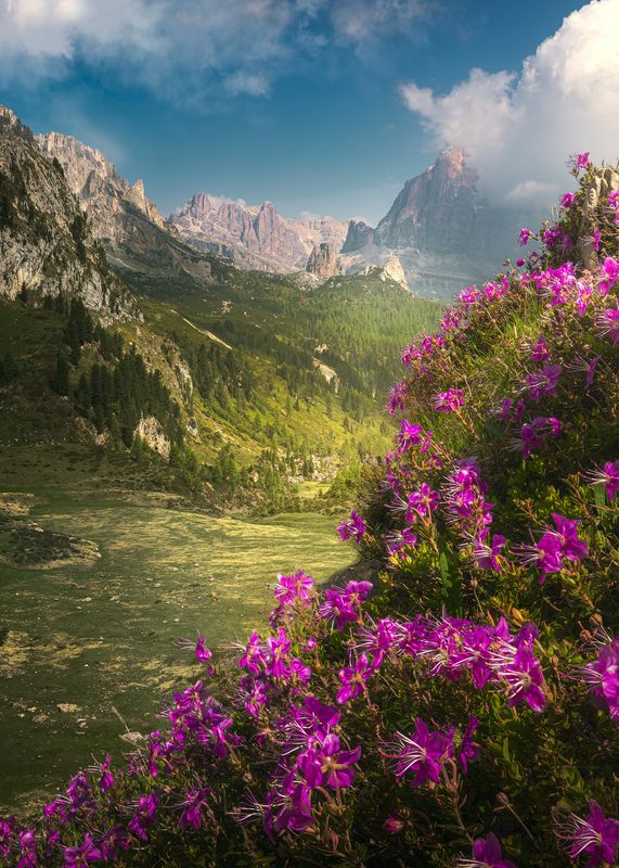 Dolomitiphoto preview