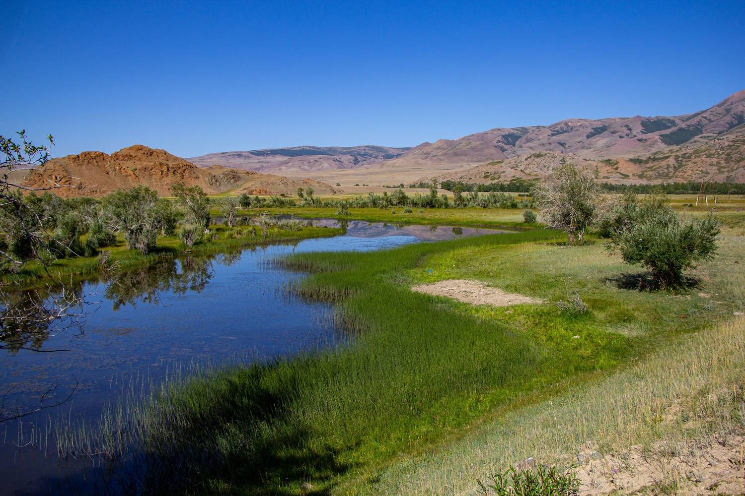 Синие дали. Автор: Владимир Каверин , Владимир Каверин