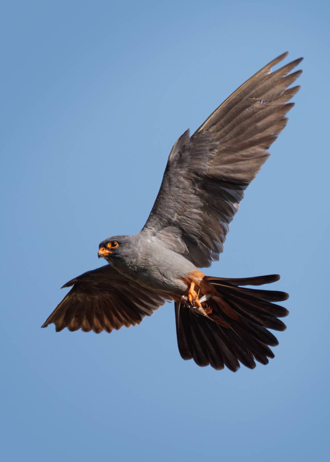 , Гильманов Артур