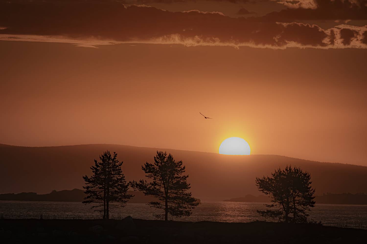 , Лаврентьев Александр