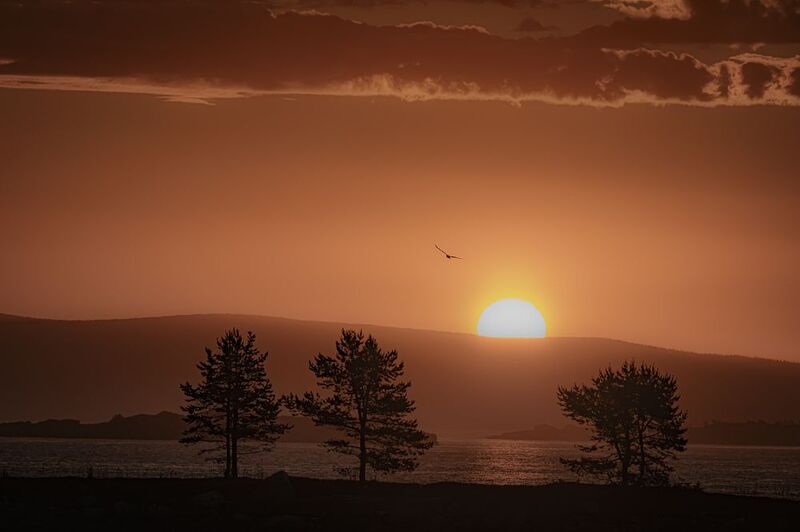 Белая ночь вблизи Кандалакши. Крики чаек, шум прибояphoto preview