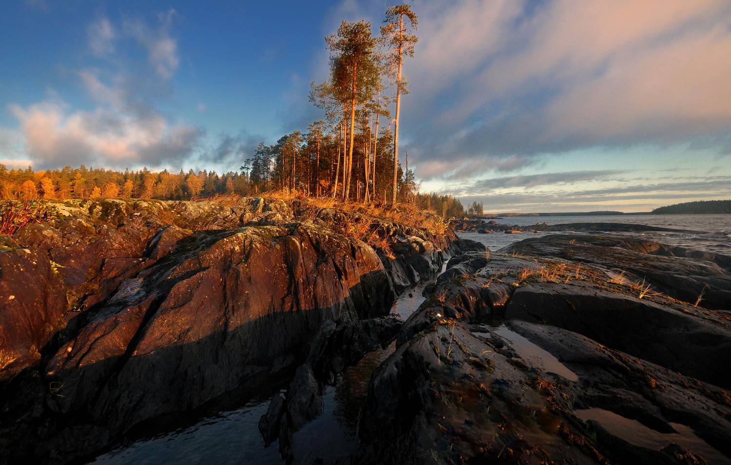 , Андрей Куликов