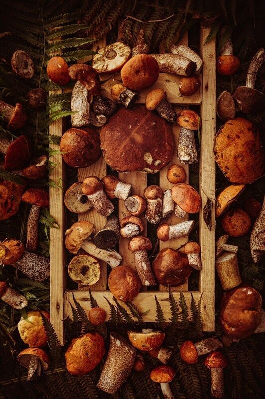 С 1 августаphoto preview