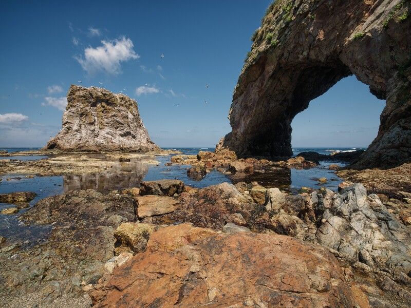 Сахалин. 2025 фото превью
