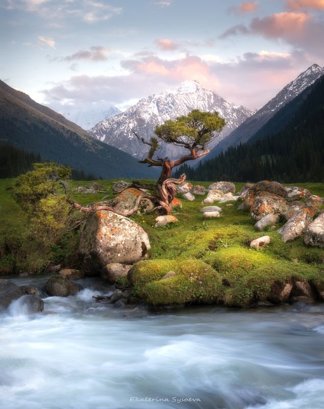 Одиночествоphoto preview