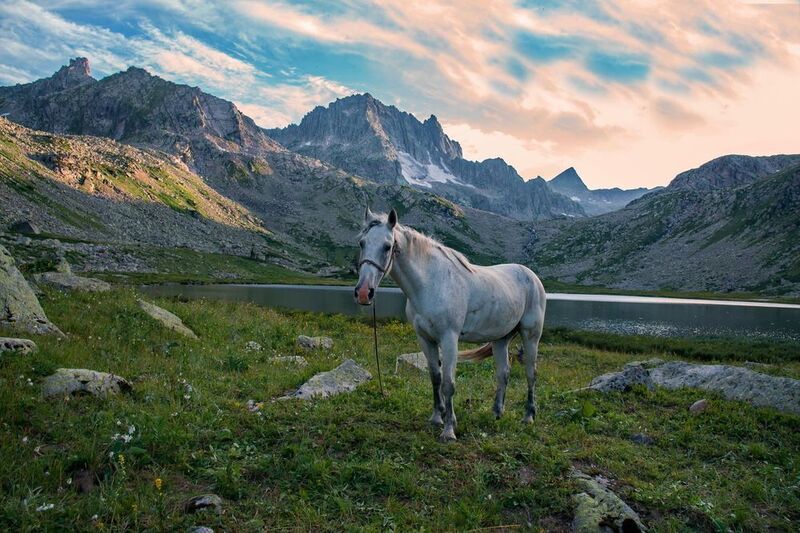 алтай горы В горах Алтаяphoto preview