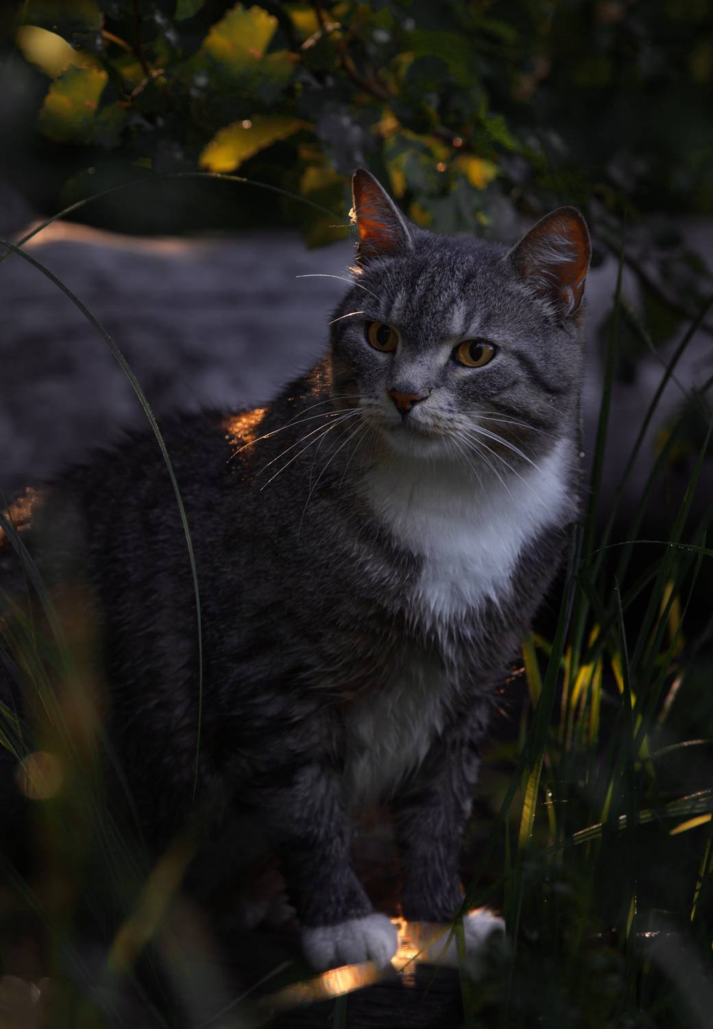 , Баранов Олег