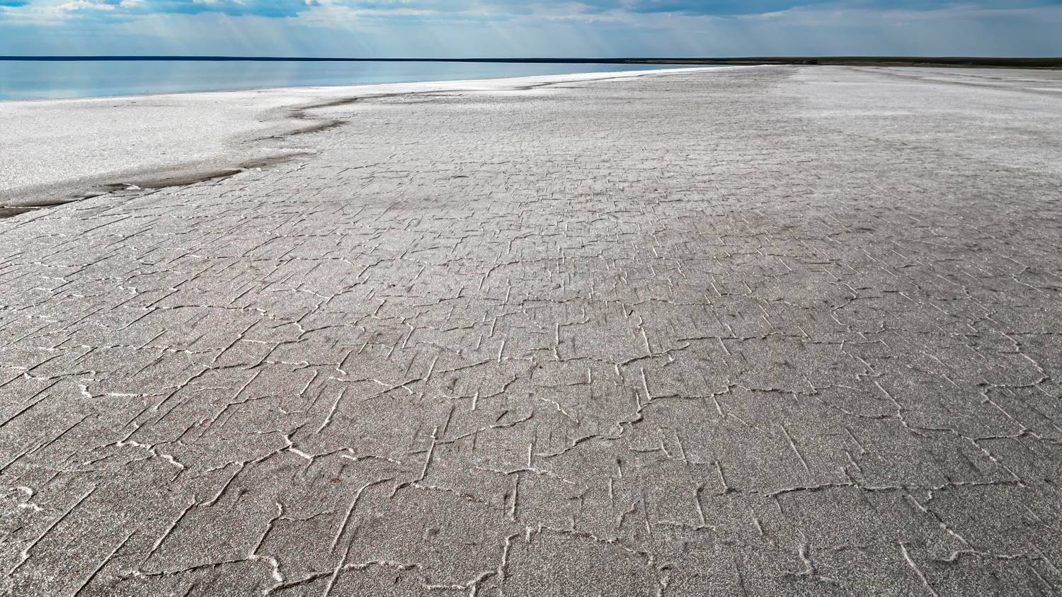 , Михаил Харитонычев