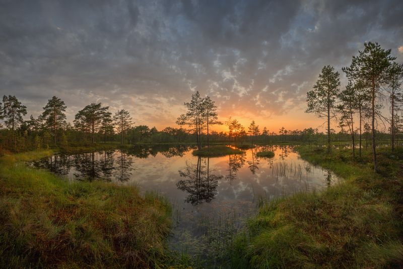 болото, ленинградская область Летний вечер на болотахphoto preview