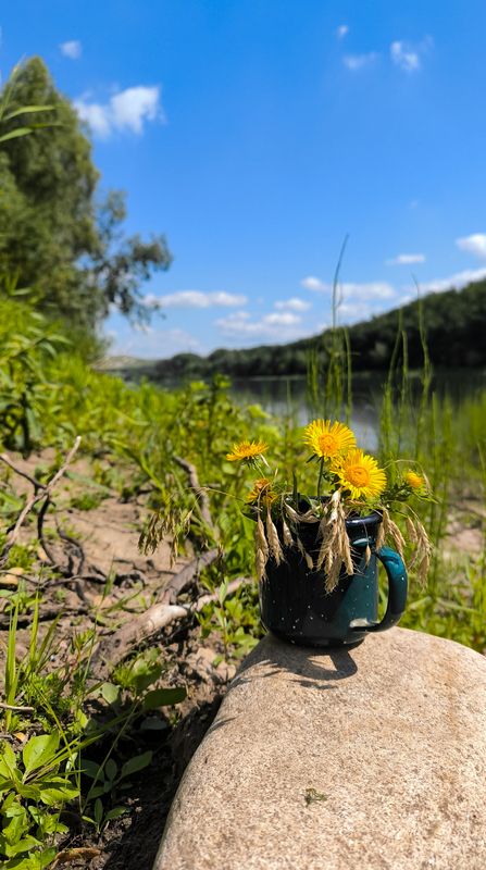 натюрморт Букет полевых цветов.photo preview