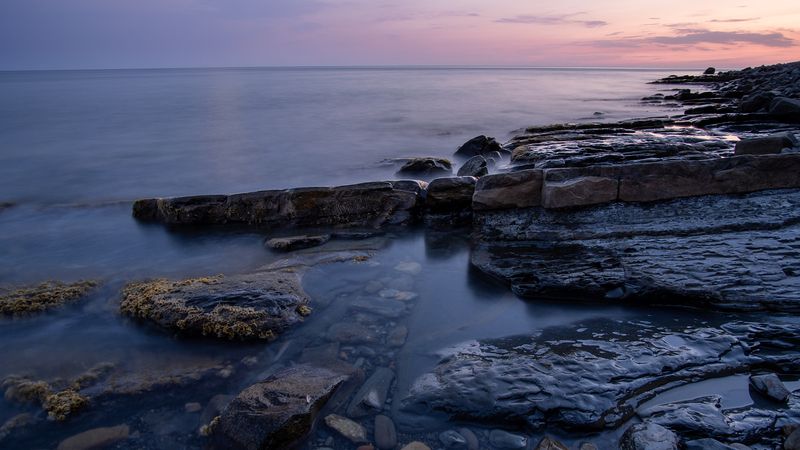 В морском садуphoto preview