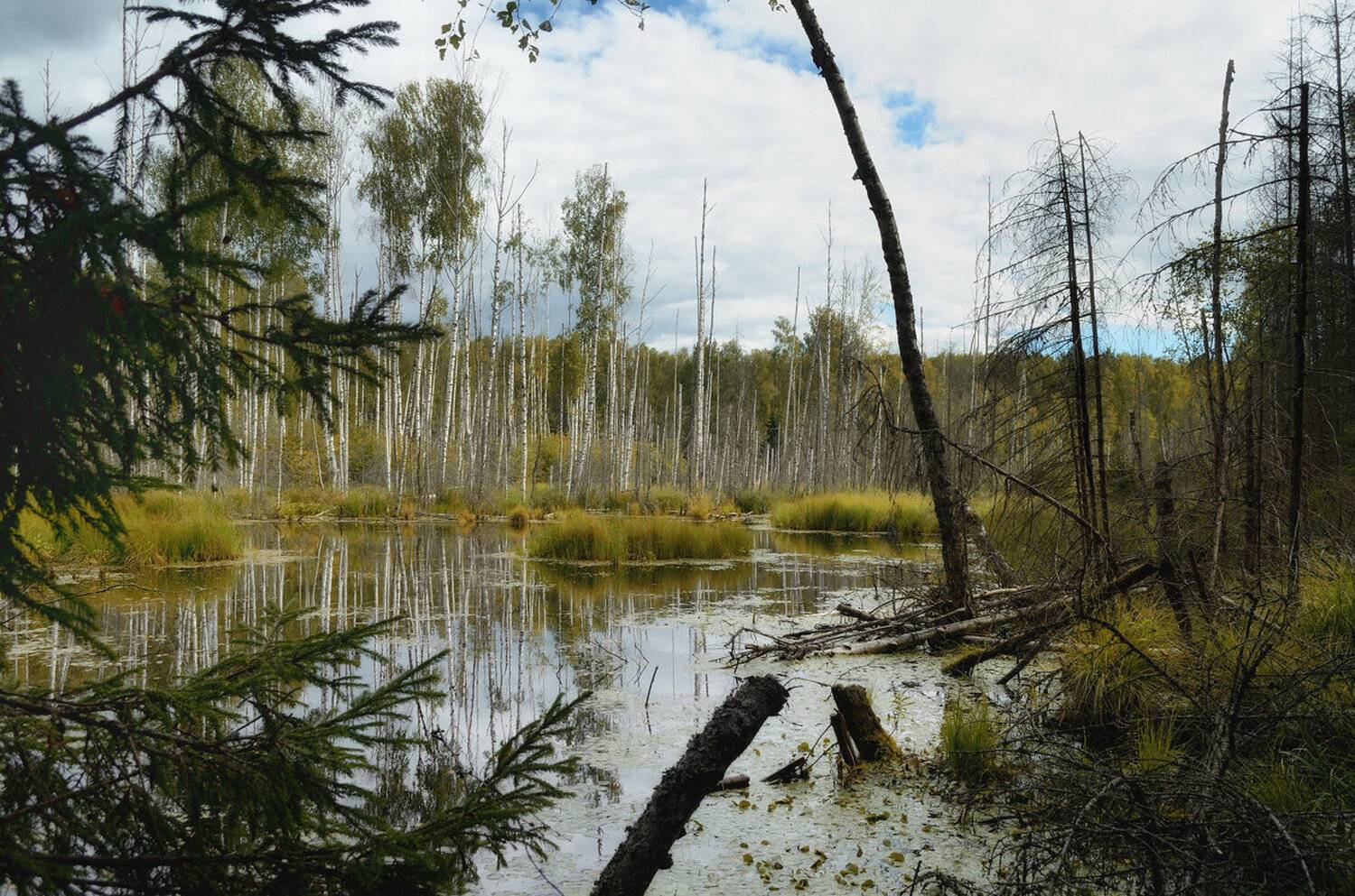 , Сергей Клапишевский