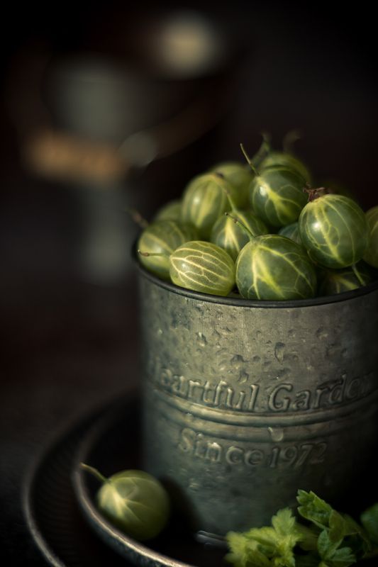 природа, лето, солнце, крыжовник, натюрморт ***photo preview