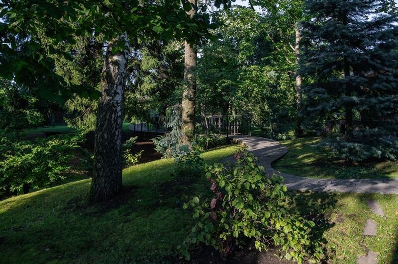 Зарисовки во двореphoto preview