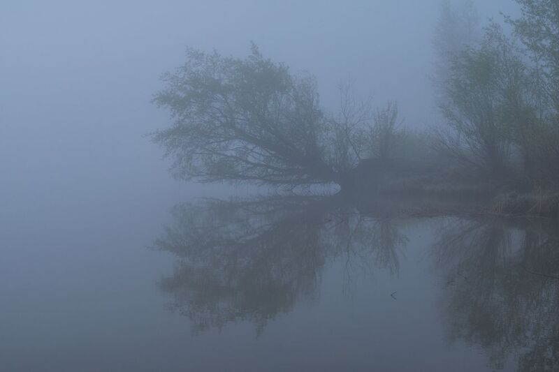 Зазеркальеphoto preview