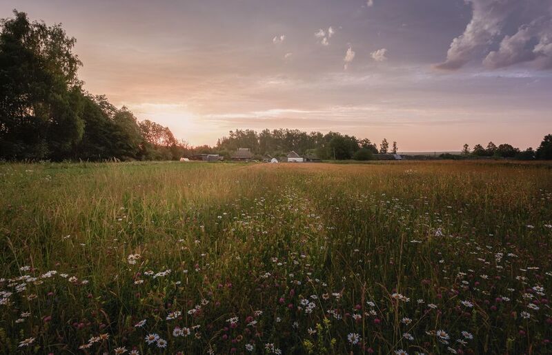 рассвет Торбеево Рассвет... фото превью