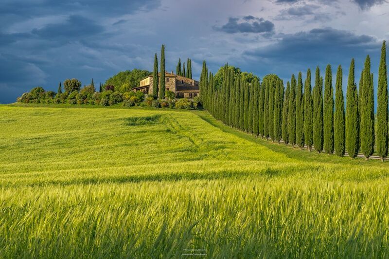 Италия, Тоскана, пейзаж, кипарисы В Тосканеphoto preview