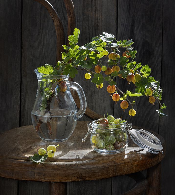 крыжовник поспелphoto preview