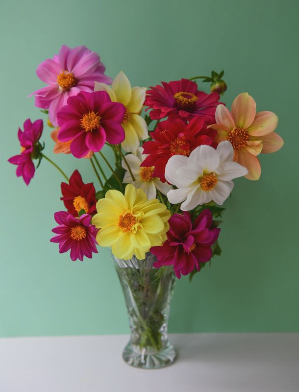 Августphoto preview