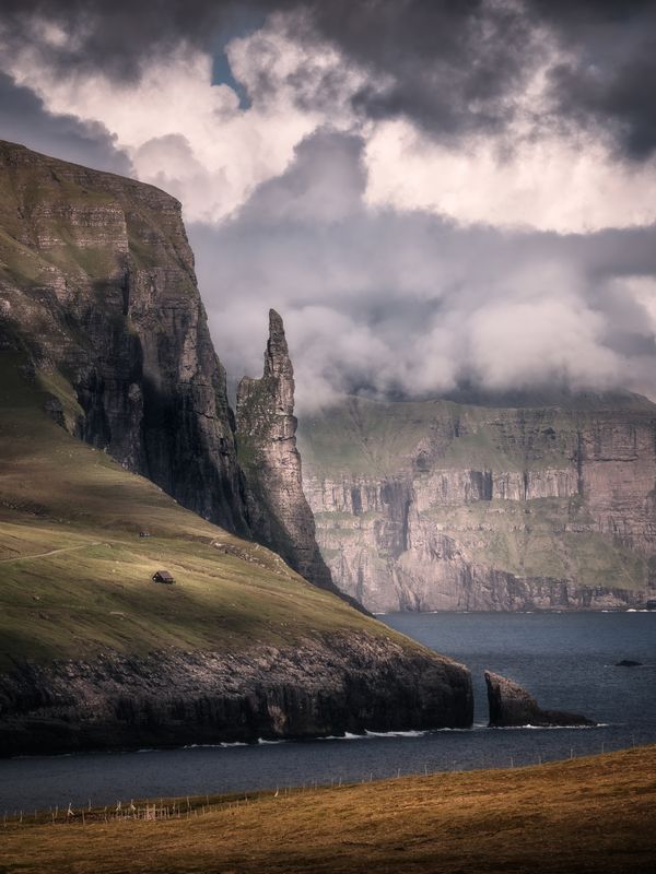 Witches\\\' fingerphoto preview