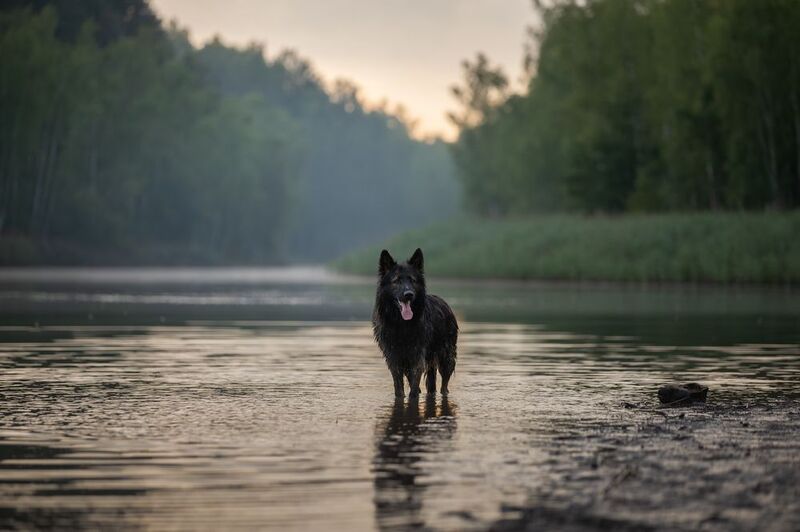 Фэймосphoto preview