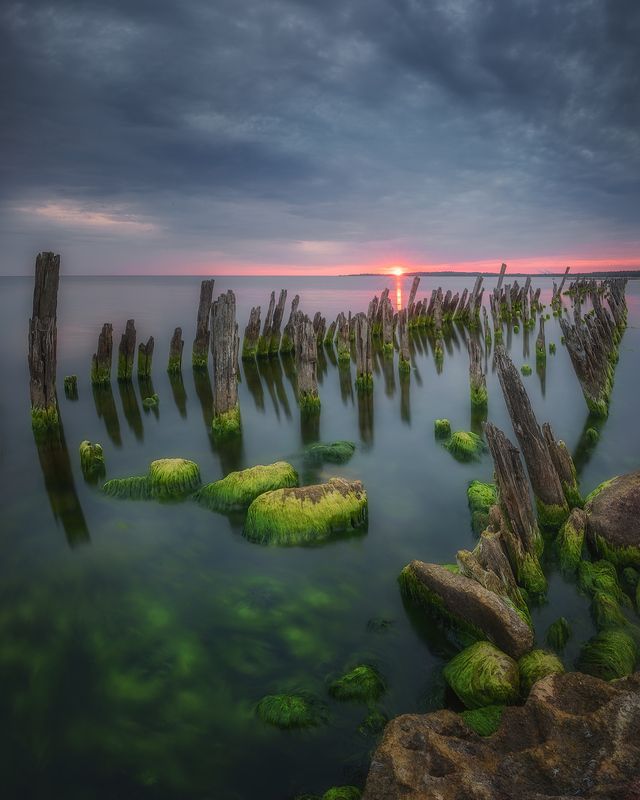 ленобласть, финский залив, рассвет, восход, лето ***photo preview