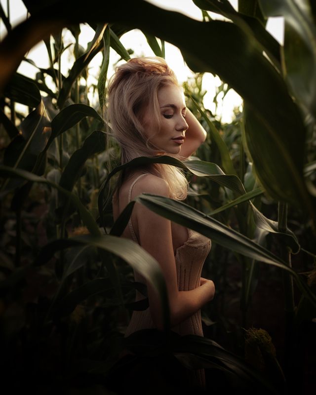 Викаphoto preview