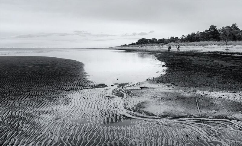 белое море, залив, вода, отлив, берег, следы, прогулка, велосипедисты, деревья, черно-белое Берег Белого моря, час отливаphoto preview