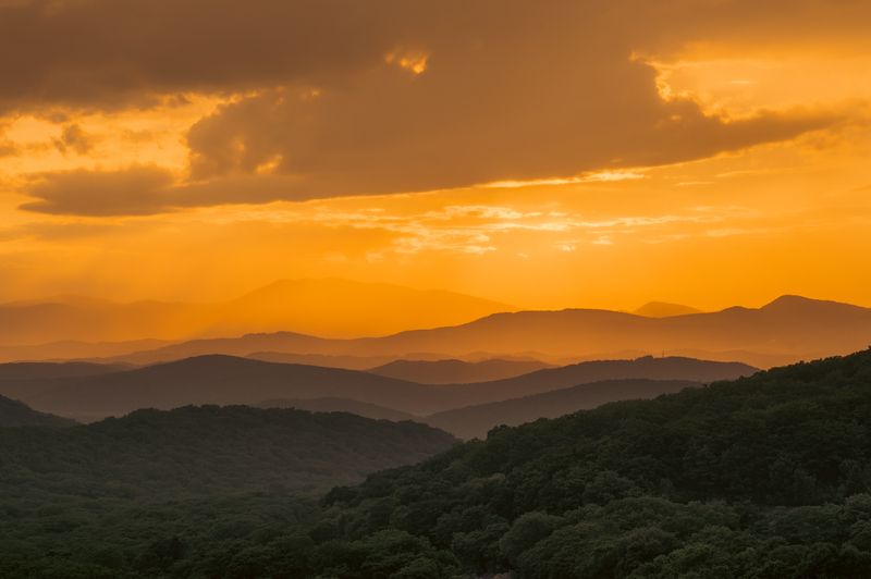 Ливадияphoto preview