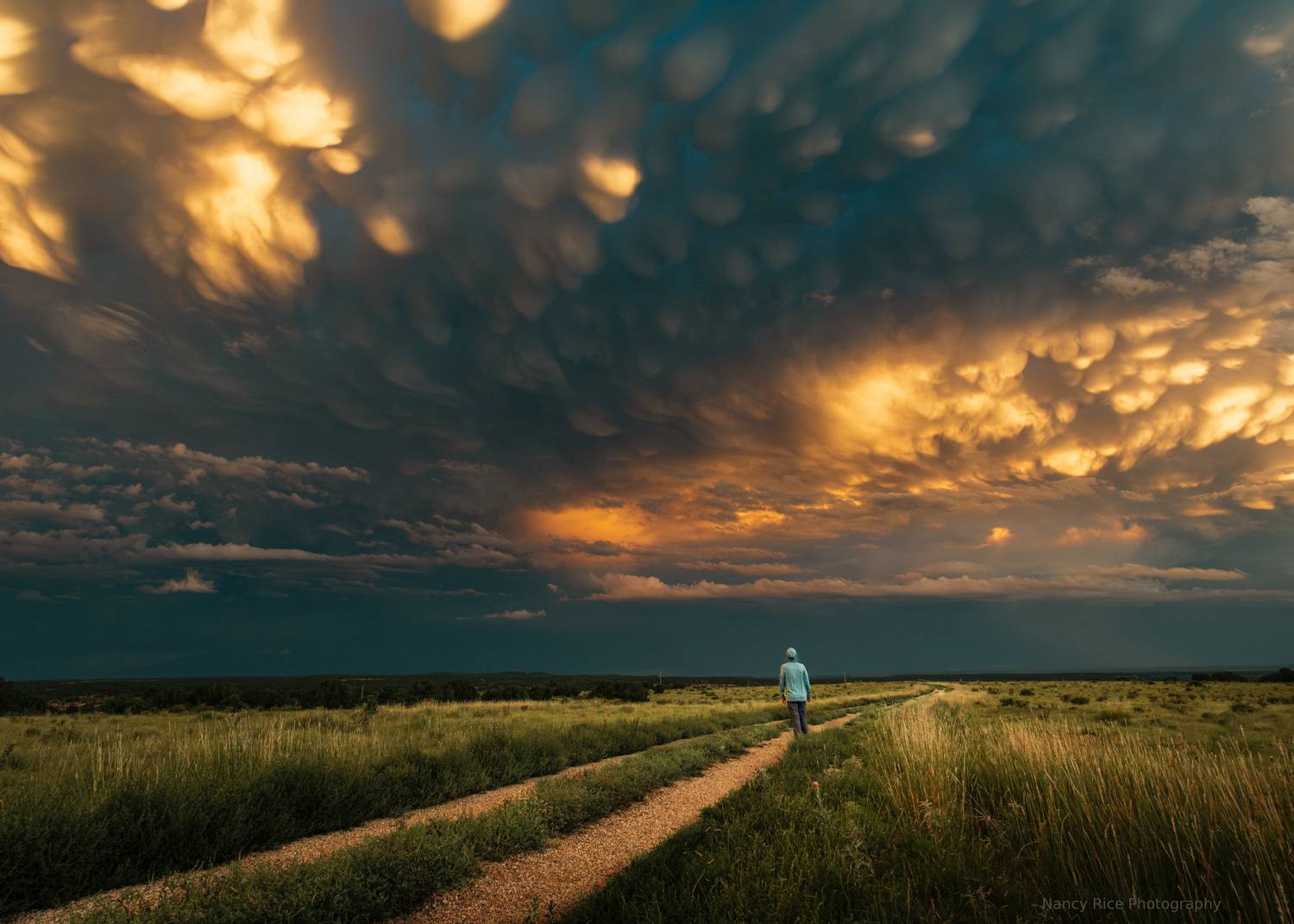 sunset, new mexico, usa, landscape, field, summer, nature, outdoors, clouds, sky, mammatus, storm, Nancy Rice