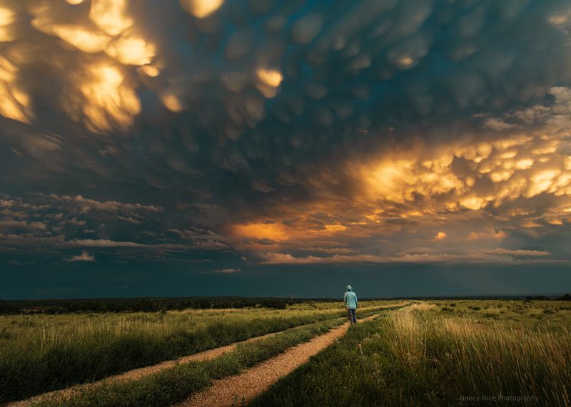 sunset, new mexico, usa, landscape, field, summer, nature, outdoors, clouds, sky, mammatus, storm Stormy mammatus sunsetphoto preview