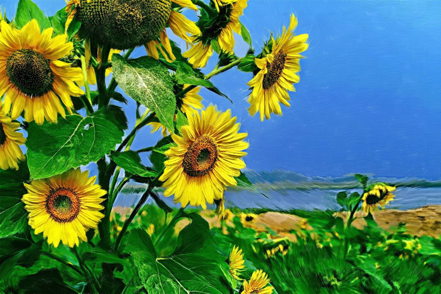 Зауралье. Автор: Борис Бусыгин , Борис Бусыгин