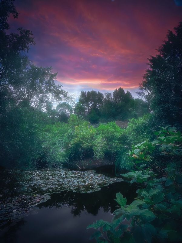 пейзаж, landscape, nature, природа, лето, summer, forest, лес, закат, sunset ***photo preview