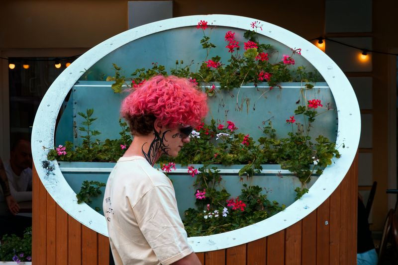 Цветастые сезонные растенияphoto preview