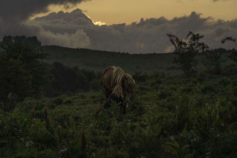 Россия, Краснодарский край, Мостовской район, Бароновы поляны, лошадь Родственные душиphoto preview
