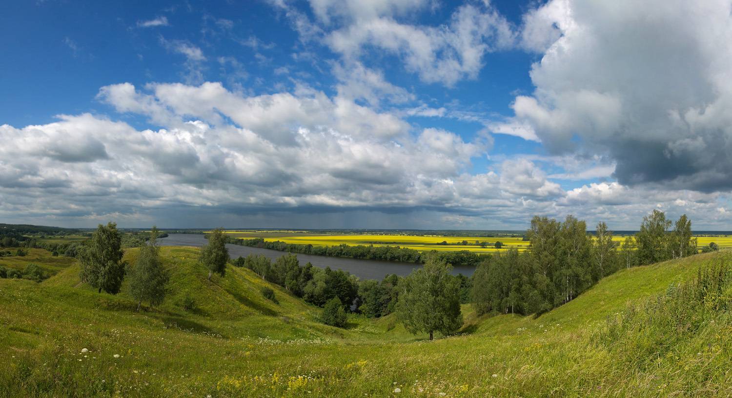 лето, ока река, Елена Колеснева